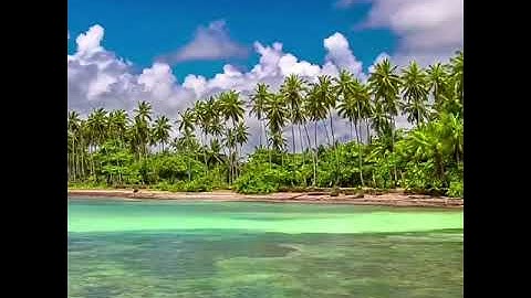 الشيخ محمود طه عبدالفتاح سورة  النجم والضحى