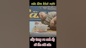 khát nước khi say #shortvideo #funny #tranthicamlinh