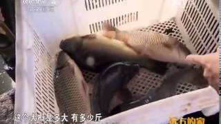 20150106 远方的家 江河万里行(180)——松花江:松花江畔的农家故事