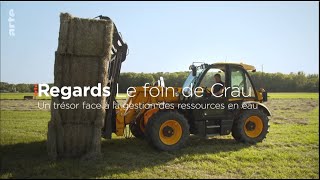 Foin de Crau 3ème coupe pour les moutons et les chèvres - Douliere Hay  France