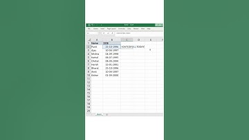 Calculate Age in Excel | Get the AGE in Years from Date Of Birth in Excel | Age Calculator #shorts