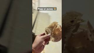 Paap or punay 🙏 #feeding #animals #withlove #saveanimals #savehumanity #savelives