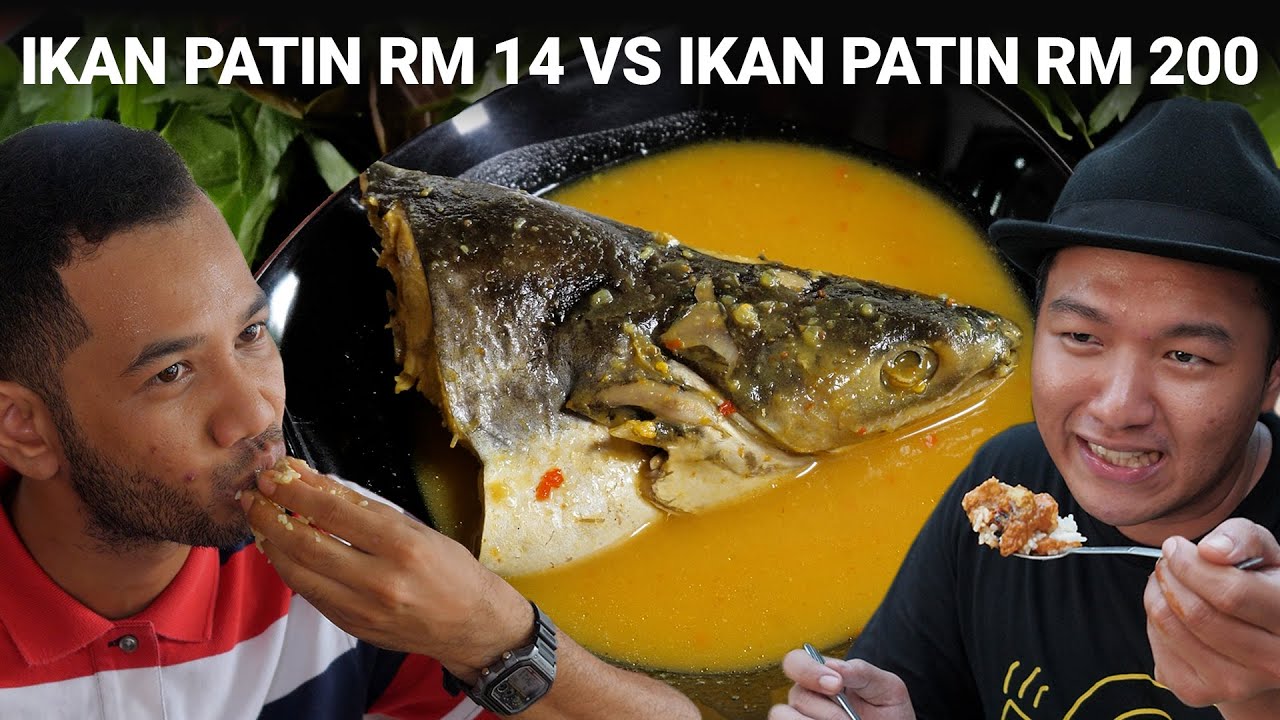 Ikan Patin Sangkar Rm 14 Vs Ikan Patin Buah Rm 200 Pilihan Terbaik Youtube