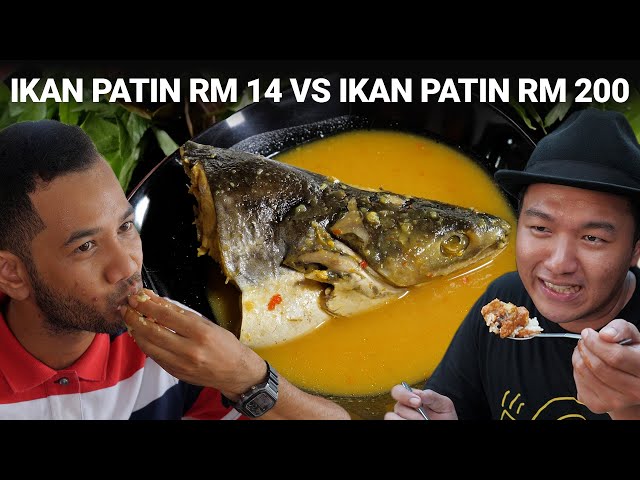 Ikan Patin Sangkar RM 14 VS Ikan Patin Buah RM 200 | Pilihan Terbaik class=