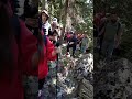 Карачаево-Черкесия поход к озерам Мамхурц июнь 2025