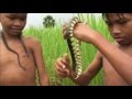 WOW!! Skill Dewa Anak Kamboja - Siapa Sangka Ternyata Begini Cara
Menaklukannya