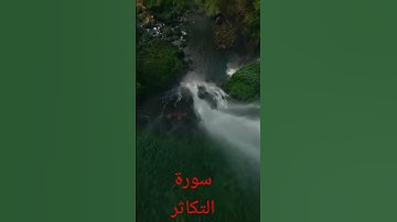 سورة التكاثر surah altakathur #تيك_توك #اكسبلور #دويتو #راحة_نفسية #ترند #duet #متابعه #لايك