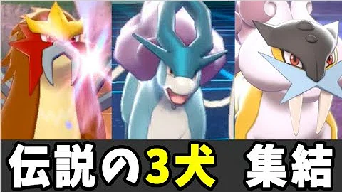 تحميل ポケモン 犬