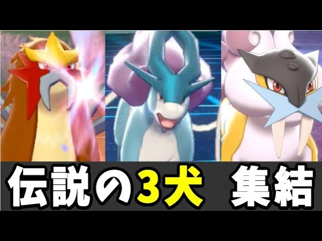 ポケモン剣盾 伝説の３犬統一が予想以上に強かった件 エンテイ スイクン ライコウ Youtube