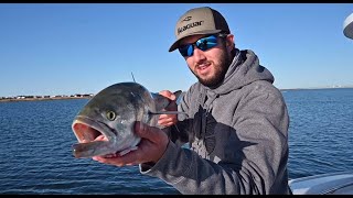 Best Bluefish Fishing Tips