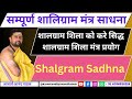 Complete shaligram mantra sadhana method how to prove shalagram shila acharya anand pathak shalgram 