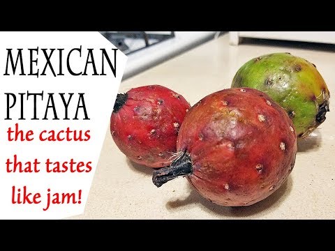 Video: Pitaya Yra Nepažįstamas Super Vaisius