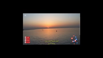 تلاوة عطرة من سورة الفتح : محمد رسول الله #انشروها_للاستفادة