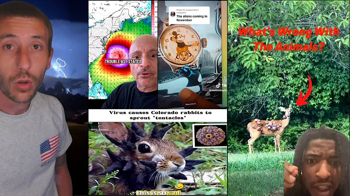 We Live In A World Where Everything Is Backwards