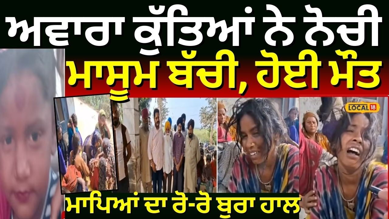 Fatehgarh Sahib | ਅਵਾਰਾ ਕੁੱਤਿਆਂ ਨੇ ਨੋਚੀ ਮਾਸੂਮ ਬੱਚੀ, ਮਾਪਿਆਂ ਦਾ ਰੋ-ਰੋ ਬੁਰਾ ਹਾਲ | khamanon | #local18