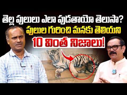తెల్ల పులులు ఎలా పుడతాయో తెలుసా? | Forest Officer Ram Mohan Interview | #idreammuralidharinterviews