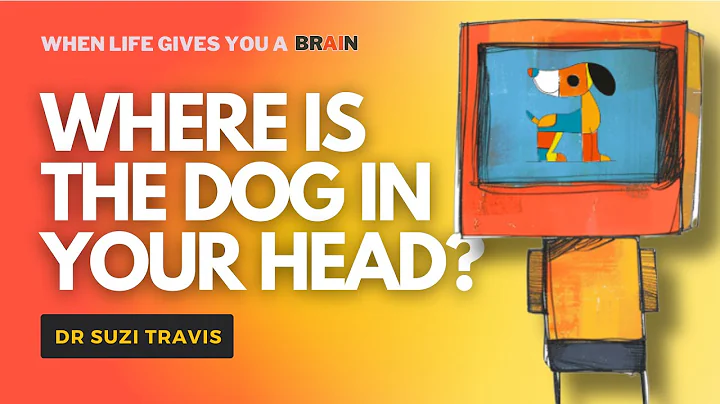 Does your Brain Represent the Outside World?