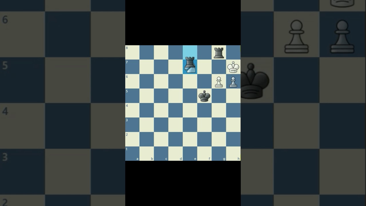 Endgame Study 8 - Can White's Pawns save the game?