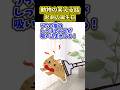 動物の笑える話〜悲劇の誕生日〜【2ch動物スレ】