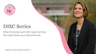 DISC Styles Under Pressure