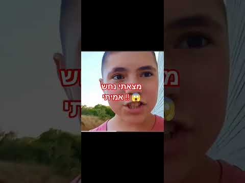 מצאתי נחש אמיתי ! (מפחיד מאוד) #נחש #יוטיובישראל #פחד