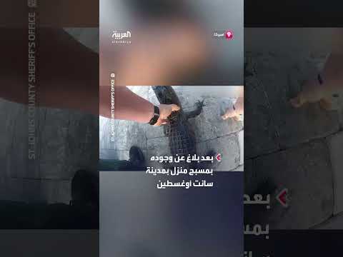 موقف إنساني: إنقاذ سلحفاة بحرية في اليمن