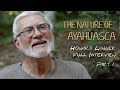 The Nature of Ayahuasca - Howard Lawler Full Interview - Part 1