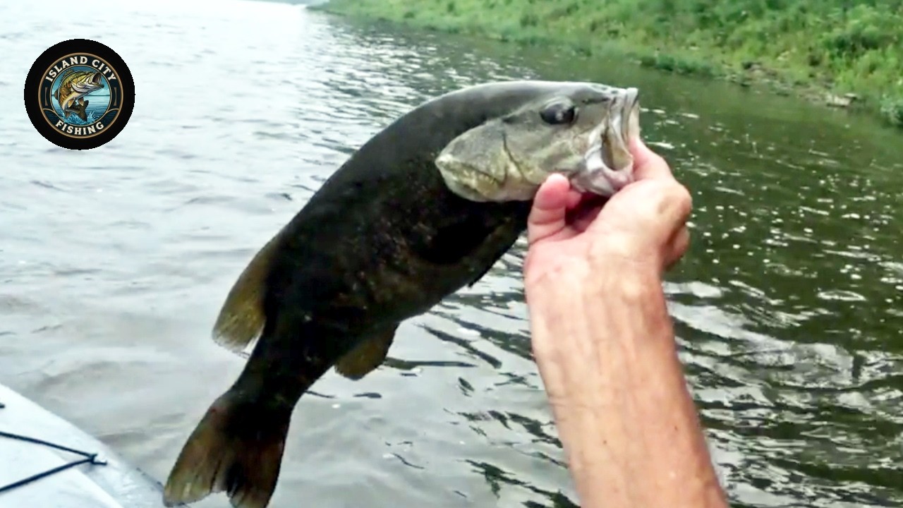 Kankakee River Smallmouth Bass on Spinnerbaits! (And a 4.5lb Monster surprise!!!)