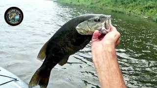 Kankakee River Smallmouth Bass on Spinnerbaits! (And a 4.5lb Monster surprise!!!)