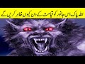 What is Dabbatul Arz in Urdu | The Biggest Sign Of Qayama In Urdu