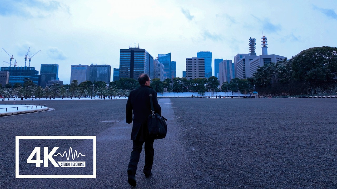 Snow-hushed Tokyo 4K Walk 2026: Nihonbashi to Marunouchi [1 Hour / ASMR]