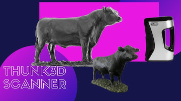 How to scan craft with thunk3d Archer S?