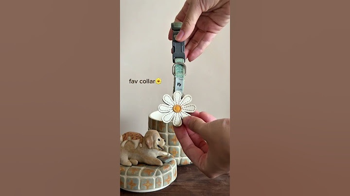 Turning My Dog’s Memories Into a Custom Keepsake Jar 🐾 | Handmade Pet Memory Jar