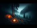 Relaxing Campfire and Forest Sounds for Sleep | Nighttime Nature Ambiance