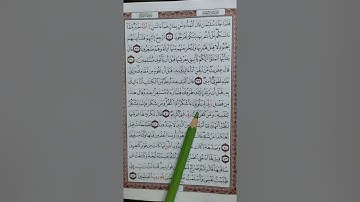 سورة النمل من آية (٣٦) إلى آية (٤٤) ص٣٨٠