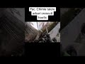 ARBORIST CLUJ - TAIERE ARBORI FACULTATEA DE CHIME