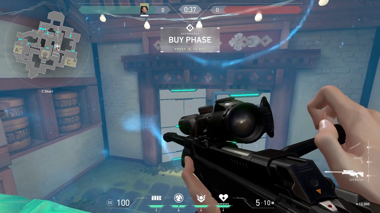 Valorant Closed Beta Bugs