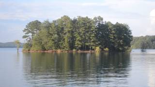 DSC 0011