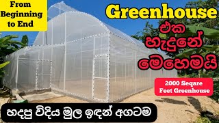 How to build a Greenhouse | Polytunnel in Sri lanka #greenhouse #polytunnel #farm #greenhouses #fyp