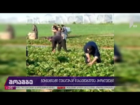 გერმანიაში ლეგალურად დასაქმებულთა პრობლემები