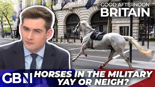'BLOOD SOAKED' horses running through London a 'reminder of why they are NOT military equipment'