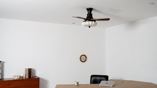 Lotus Bloom Ceiling Fan Light – Natural Elegance, Dual-Function Illumination