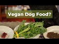 Vegan Dog Food: A Healthier Option for Your Pet?
