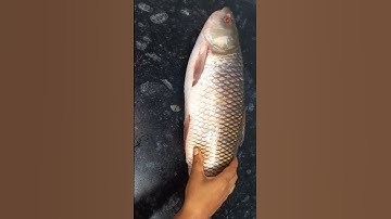 बिहारी स्टाइल रोहू मछली बनाने का एकदम पुराना तरीका/#sandhyaratankitchen #shortsfeed #fish #shorts