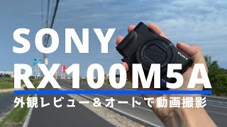 Sonyの高級コンデジ RX100M5A の外観とオート撮影での動画の映り具合をレビュー！