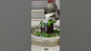 Mahadev status video 🙏🔱🕉️…#mahadev #shorts #like