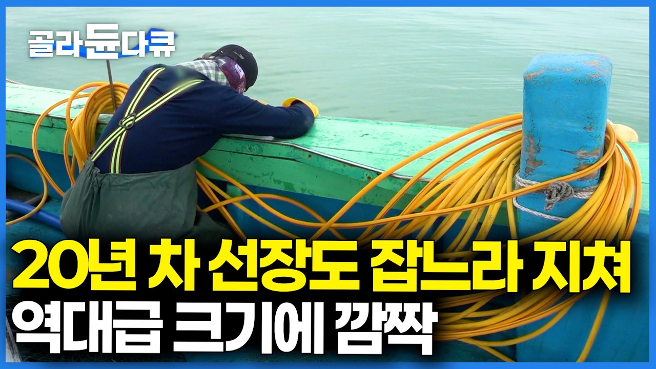 난이도 최고. 갈수록 비싸지는 30~40cm 역대급 크기의 한국산 고급 해산물의 정체｜극한직업｜#골라듄다큐