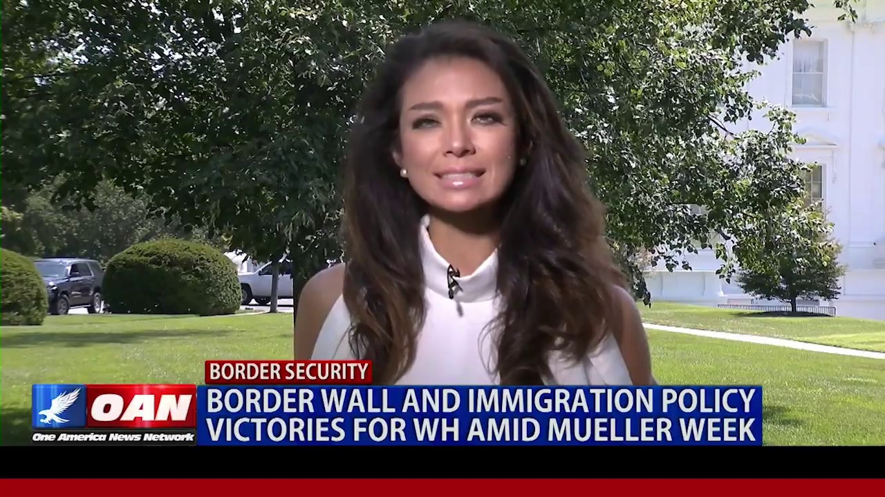Border wall and immigration policy victories for White House amid ...