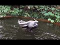 Jungle Cruise | Experience | Tokyo Disneyland Resort | 4K 60FR