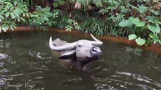 Jungle Cruise Experience Tokyo Disneyland Resort 4K 60Fr